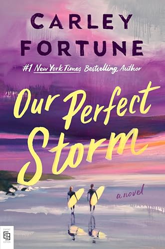 Our Perfect Storm cover image