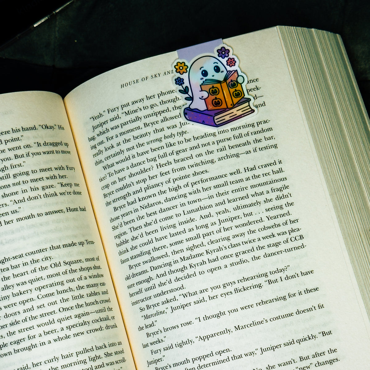 Spooky Reads Magnetic Bookmark
